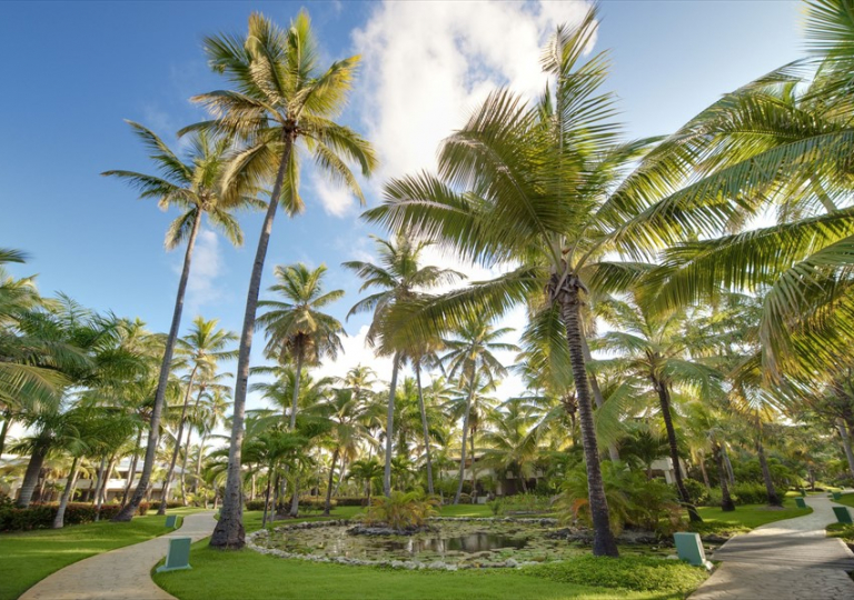 Meliá Caribe Tropical All Inclusive Beach & Golf Resort 60